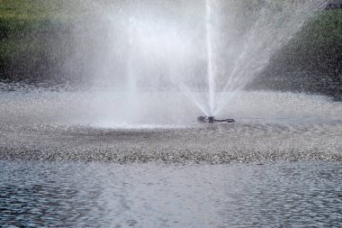 Missouri 'de halka açık bir parktaki küçük bir çeşmenin yakın görüntüsü. İzlemek için güzel bir su eğlencesi..