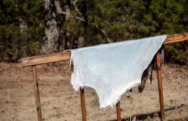 Beyaz Kuyruklu Geyik Hasat Edildi Hiçbir Şey Ziyan Olmayacak Avcı — Stok fotoğraf