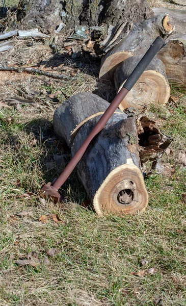 After a lot of hard work, the logger left the splitting maul among the wood pile for a little rest time. Bokeh effect.