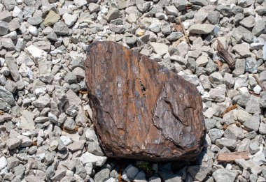 Demir ağacının oldukça koyu bir parçası, beyaz ve gri çakıl taşlarına zıt tonlarda kahverengi ve desen içeren Missouri kaya bahçesine hoş bir eklenti..