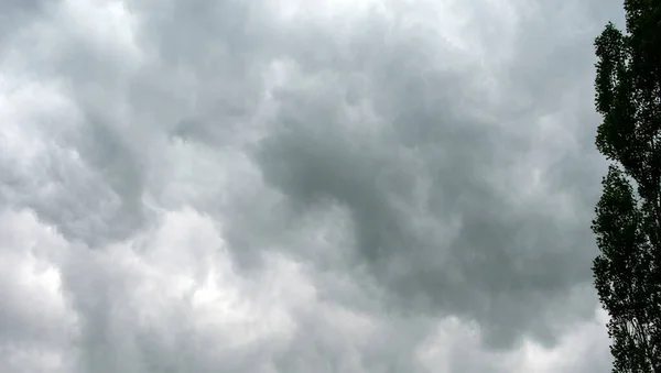 Nubes Aéreas Gris Blanco Árbol Verde Hacen Espacio Abierto Agradable — Foto de Stock