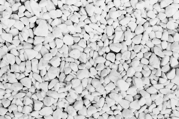 Background of small white stones — Stock Photo, Image