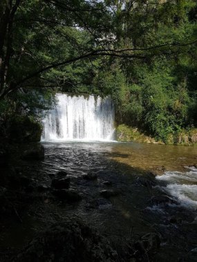 ağaçların arasında gizli güzel şelale
