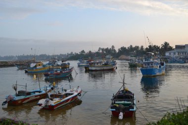 Galle muhteşem resim