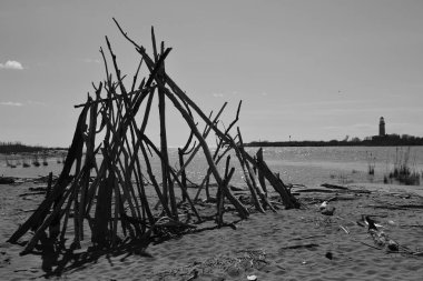 Bölge Delta del Po, doğal bir cennet. Bir kol Po Nehri'nin Po di Goro, Adriyatik Denizi akar. Dalgaların karaya attığı odun ve resim kıyısında ahşap bir parçası. İtalya, Europe.