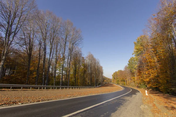 Silnice Procházející Lesa Podzimní Krajina — Stock fotografie