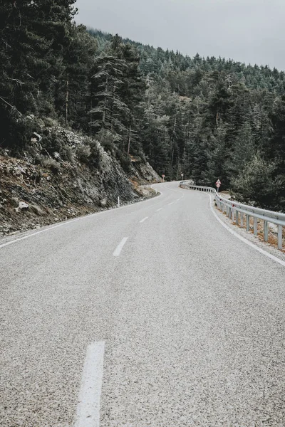 Strada asfaltata e foresta — Foto Stock