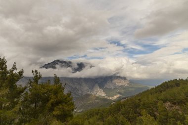 bulutlu dağlar ve ormanlar