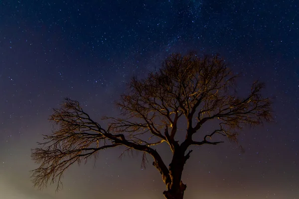 Nacht und Sterne an der Küste von Cirali — Stockfoto