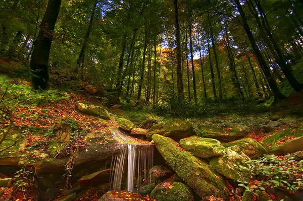 Colores otoñales con cascada y hojas — Foto de Stock