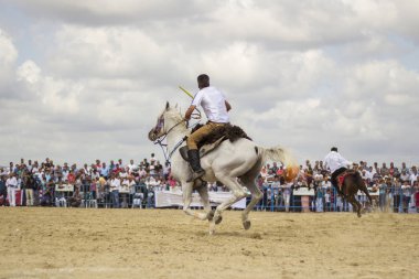 at cirit yarışmaları