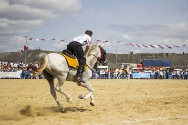 at cirit yarışmaları