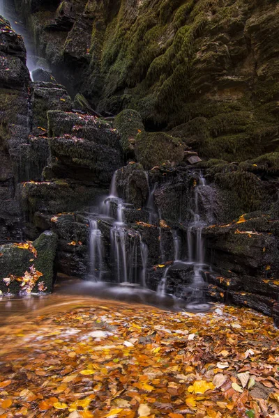 Ein waldtiefer Wasserfall und orangefarbene Blätter — Stockfoto