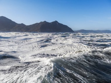 Bir Hout Bay haritasında mühürleri seal Adası Cape Town, Güney Afrika