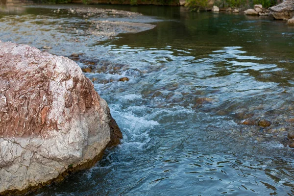 Rzeka Ziemia Drzewa Antalyi — Zdjęcie stockowe