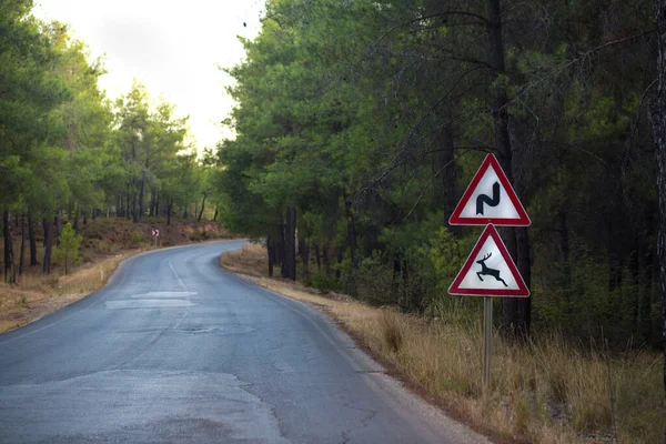 Roadside Warning Signs Animal May Come Out Bend Sign Turkey — Stock Photo, Image