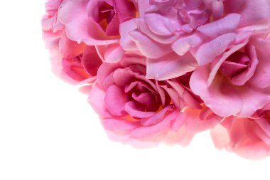 Sevgililer Günü, düğün, doğum günü ya da Anneler Günü için fotokopi odasıyla birlikte beyaz köşeye dizilmiş aşk ve romantizmi simgeleyen bir demet pembe gül.