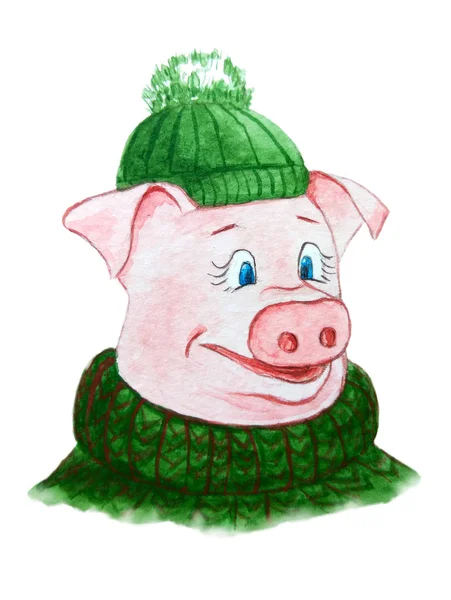 Funny Piggy Character Green Hat Warm Sweater Symbol Year 2019 — Stock Photo, Image