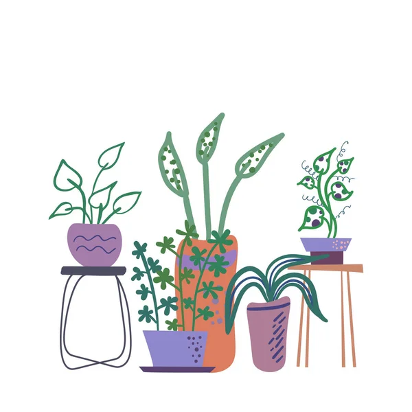 Ilustração vetorial com plantas de sala —  Vetores de Stock