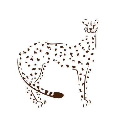 Beyaz arka plan üzerinde çita silueti. Vektör illüstrasyon, el çizilmiş.