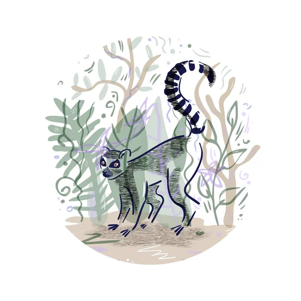 Siluet lemur catta ile vektör illüstrasyon