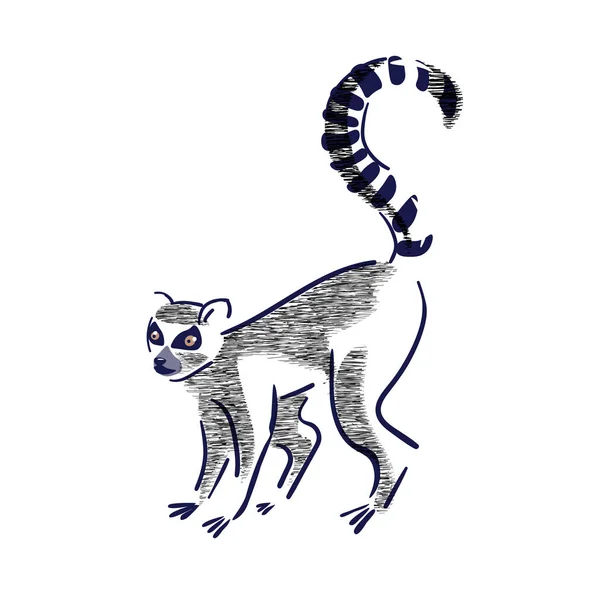 Beyaz arka plan üzerinde lemur catta silueti. Yaban hayatı, çevre koruma. Vektör illüstrasyon, el çizilmiş.
