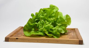 Tabakta organik ev yapımı marul 