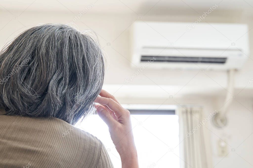 Indoor Air Conditioners in Japan