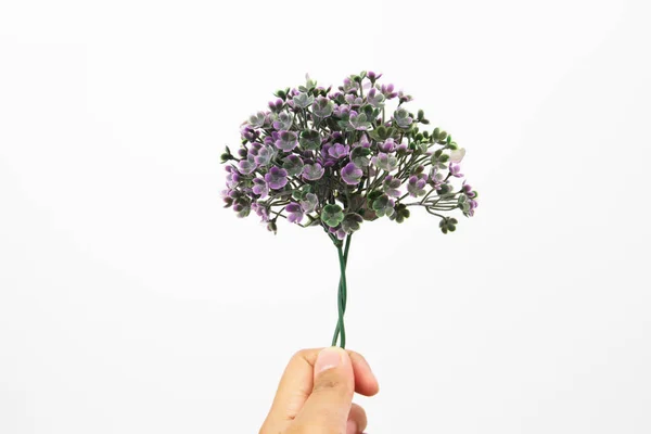 Une main tenant un petit bouquet de fleurs violettes avec un fond blanc . — Photo