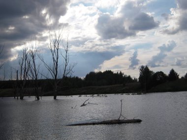 su yüzeyi, göl, doğa