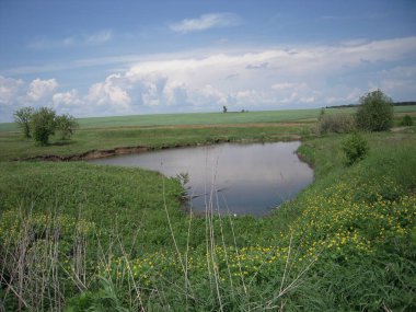 gölet, çim, gökyüzü, manzara, doğa
