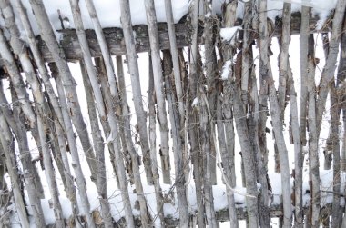 hasır çit arka plan, desen