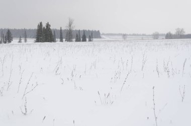 Kar alan, kış, peyzaj