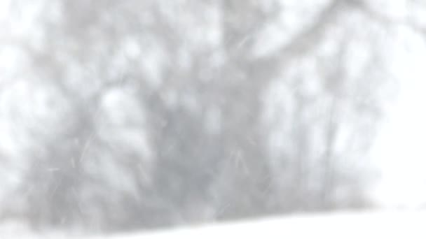 室外雪灾 冬季天气 — 图库视频影像