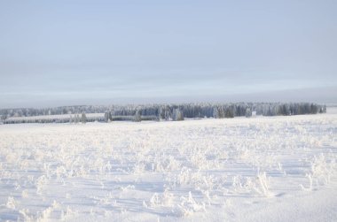 Güzel kış manzara, kar