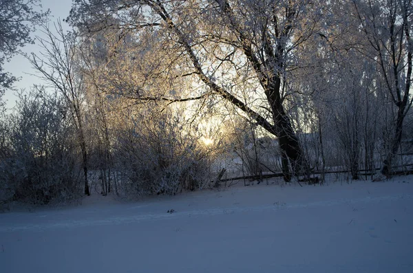 Paisagem Inverno Bela Natureza — Fotografia de Stock