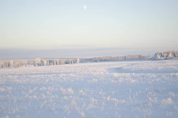 Krásná Zimní Krajina Sníh — Stock fotografie