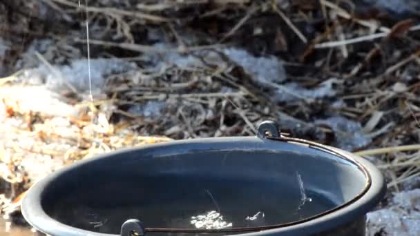 融化的雪和春天溪 屋顶下落 — 图库视频影像