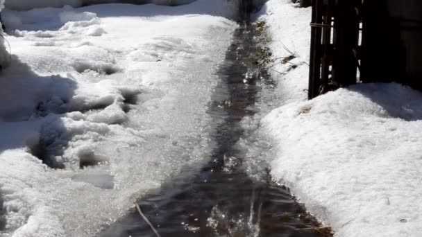 Derretimiento Nieve Arroyo Primavera Gotas — Vídeo de stock