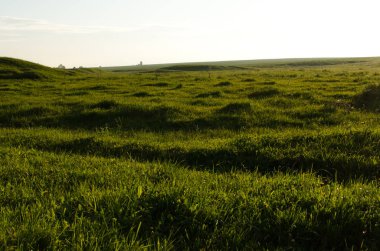 tepeler arasında yeşil glade