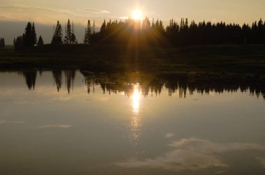 doğada akşam, güzel manzara