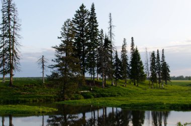 doğada akşam, güzel manzara