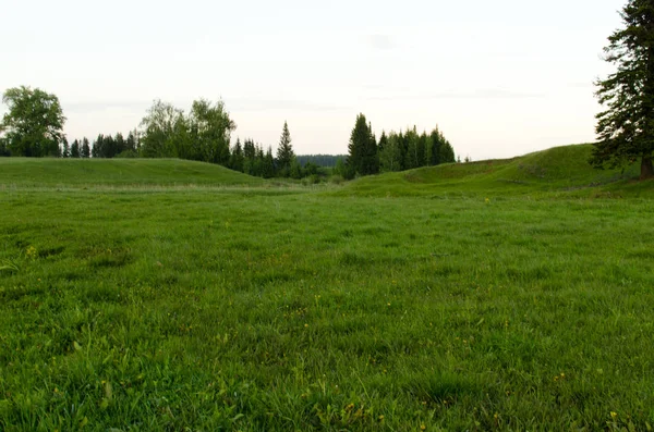 Green Glade Hills — Stock Photo, Image