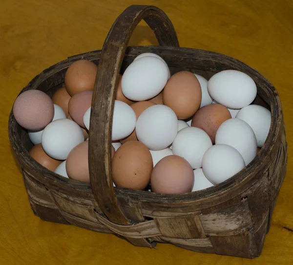 鸡蛋篮站在地板上 — 图库照片