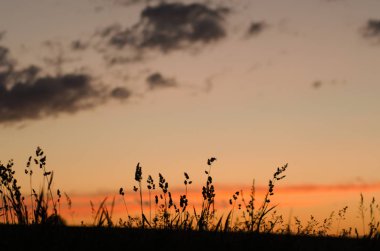 yaz aylarında alanında güzel gün batımı