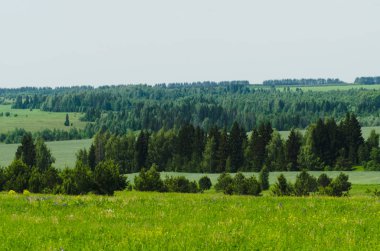 Güzel yaz manzara, güneşli bir gün