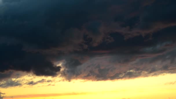 Красивый Закат Поле Летом — стоковое видео