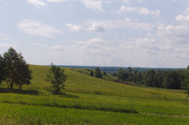 Yaz aylarında yeşil alan, çim