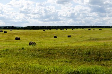 Bir tarlada saman rulosu