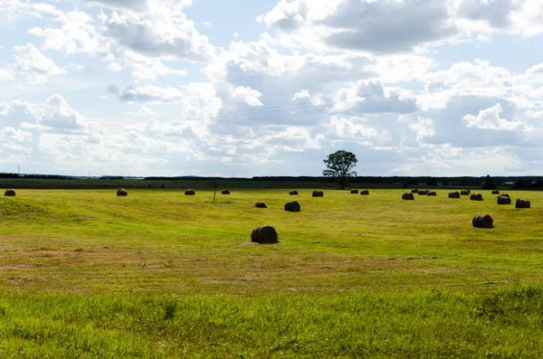 Bir tarlada saman rulosu